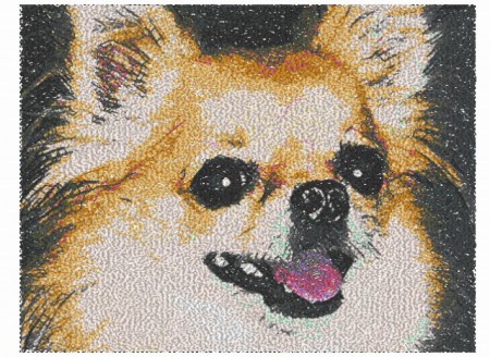 wannko
