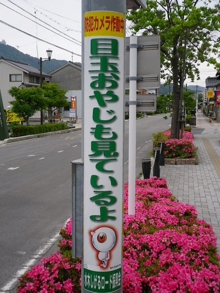 IMGP0009