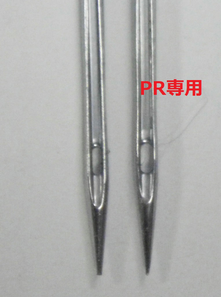 IMGP0283
